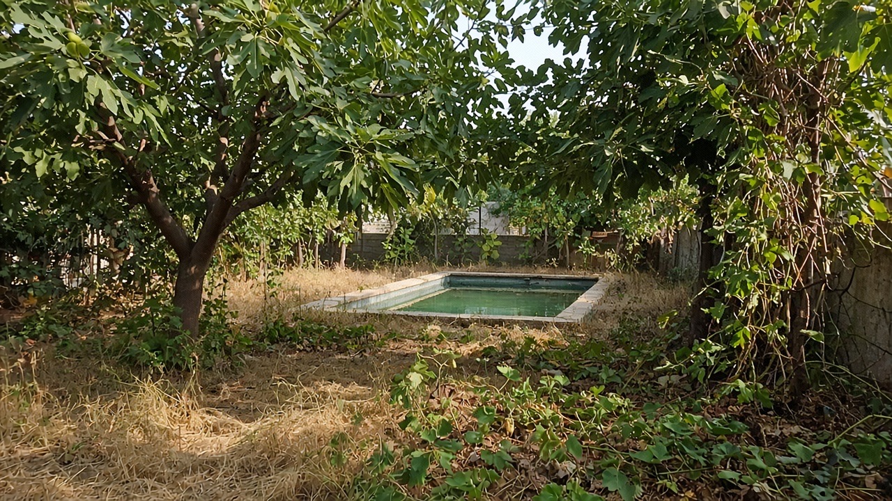 The Bilgah Summer House — detail